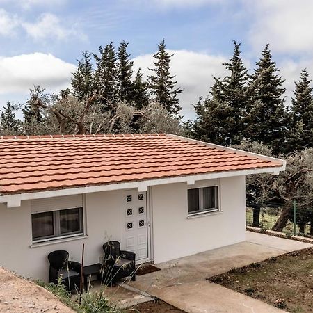 Appartamento Olive Grove Bar Esterno foto