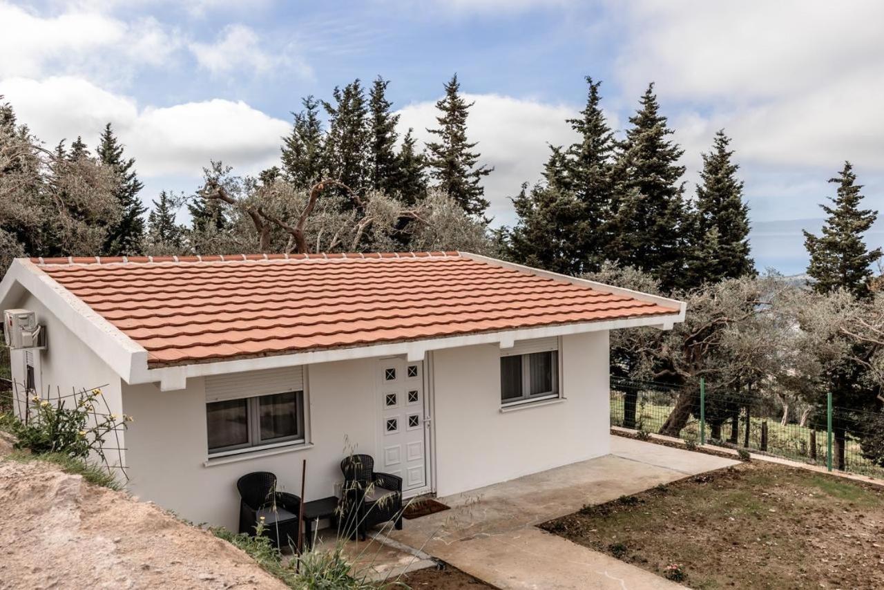 Appartamento Olive Grove Bar Esterno foto